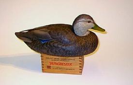 Drake Black Duck carved by Ken Scheeler