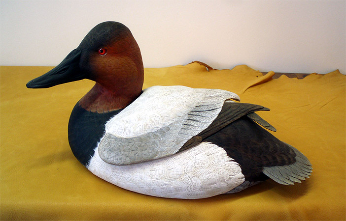 Canvasback Drake by Ken Scheeler
