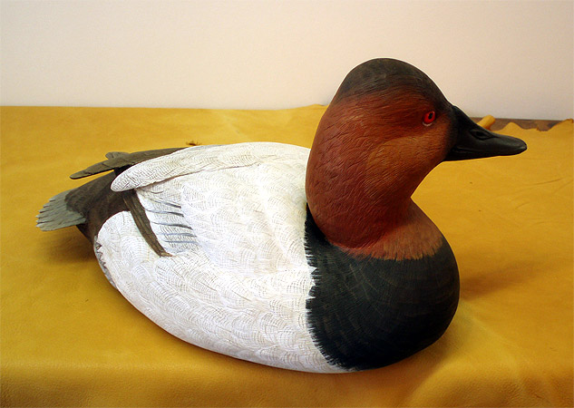 Canvasback Drake by Ken Scheeler