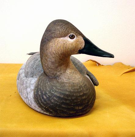 Canvasback Hen by Ken Scheeler
