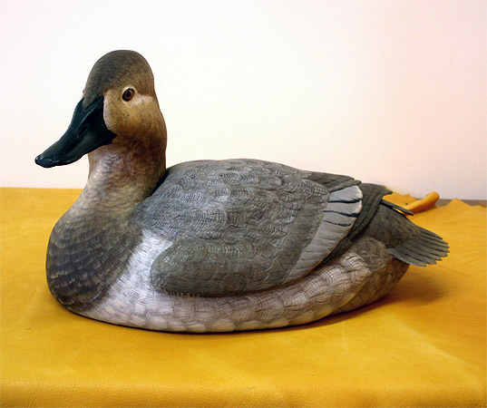 Canvasback Hen by Ken Scheeler