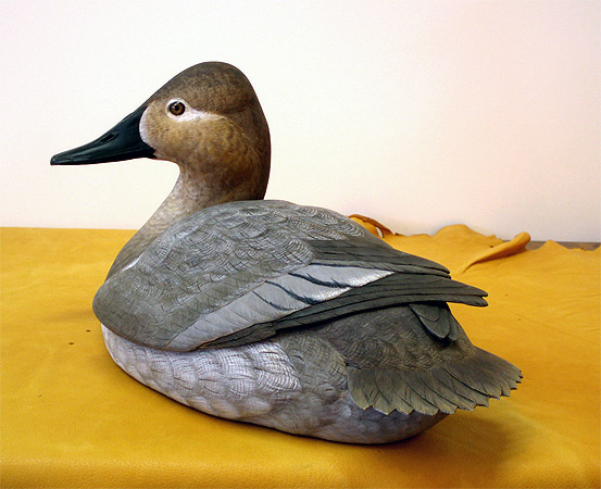 Canvasback Hen by Ken Scheeler
