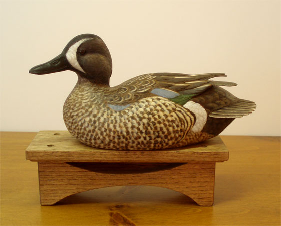 Drake Blue Wing Teall by Ken Scheeler