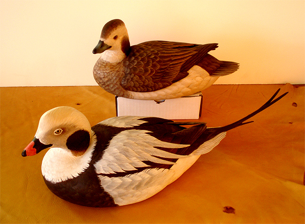 Pair of Long Tailed Ducks - Old Squaws - by Ken Scheeler