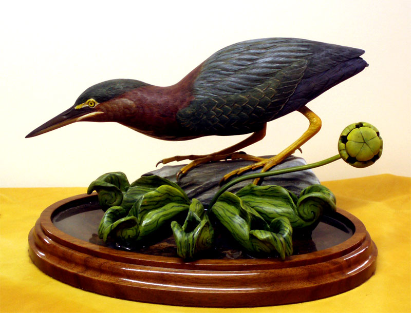 Life Sized Green Heron by Ken Scheeler