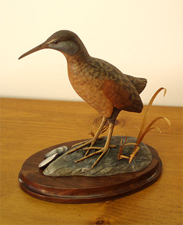 Virginia Rail by Ken Scheeler