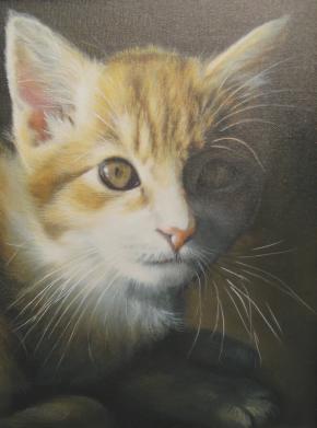Night Vision - Cat - by Linda Daniels