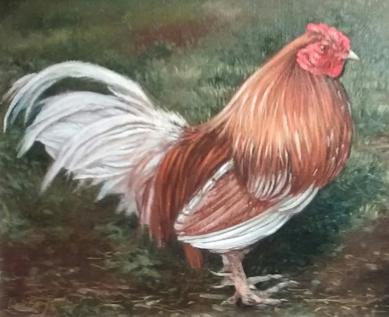 Decoys and Wildlife Gallery  site Frenchtown, NJ 08825