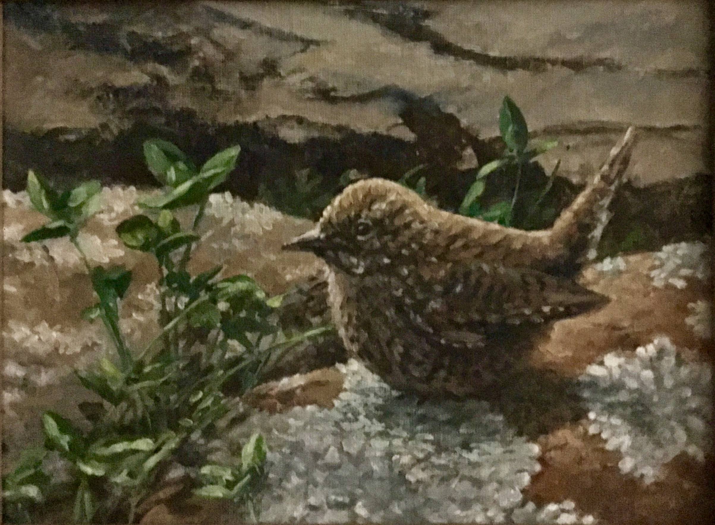 Decoys and Wildlife Gallery  site Frenchtown, NJ 08825