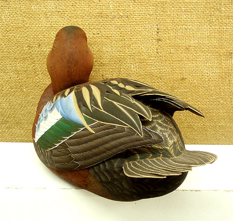 Cinnamon Teal Decorative Lifesize  - carved  by Mark Strucko
