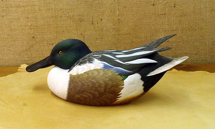 Drake Shoveler -  Lifesize - carved  by Mark Strucko
