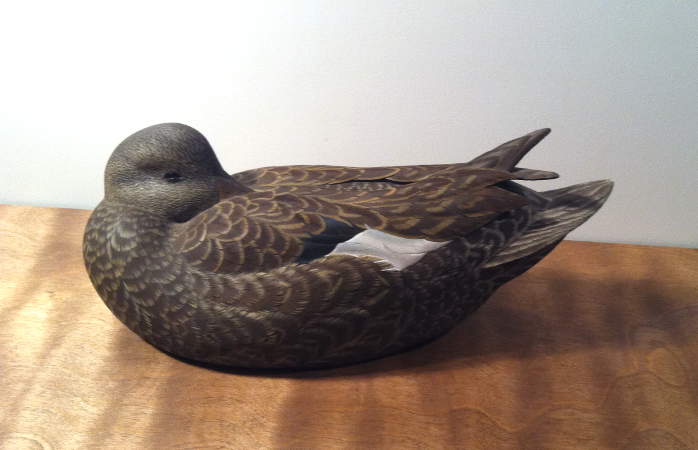 Decorative Slick Greenwing Teal - carved  by Mark Strucko