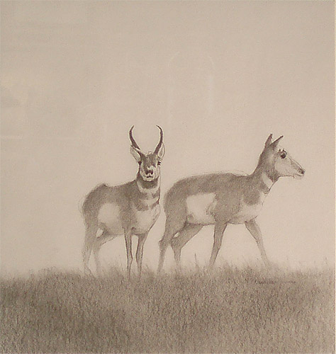 Prairie Couple by Michael Budden