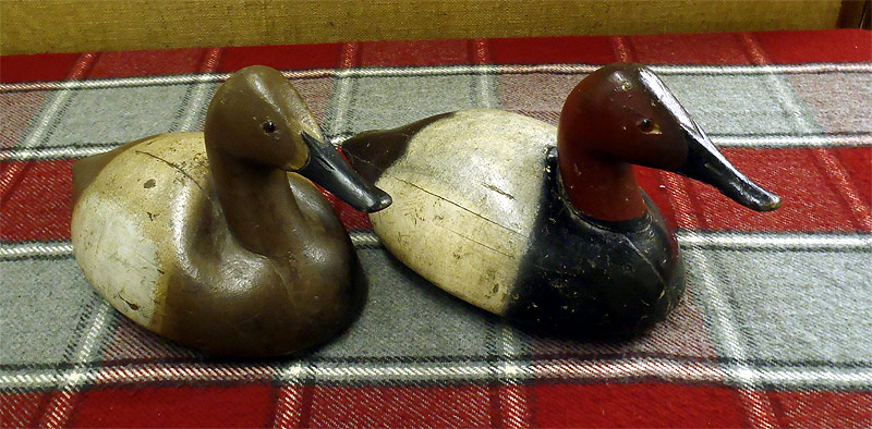 A Pair of  Canvasbacks - carved by Ferdinand Bach - from The Collection