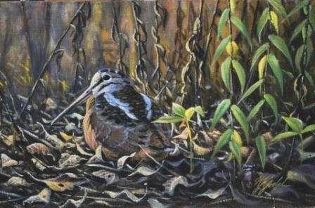 Woodcock - Painting by Wil Goebel