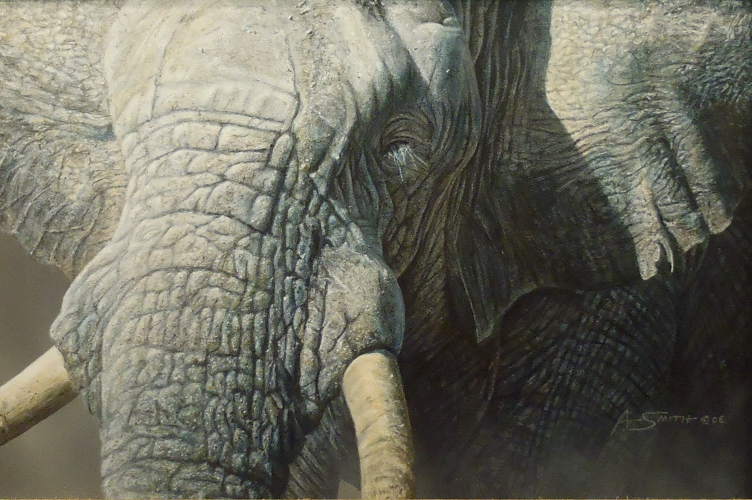 Above The Dust (Elephant) by Adam Smith