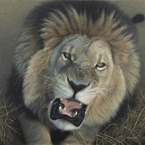Confrontation by Adam Smith
