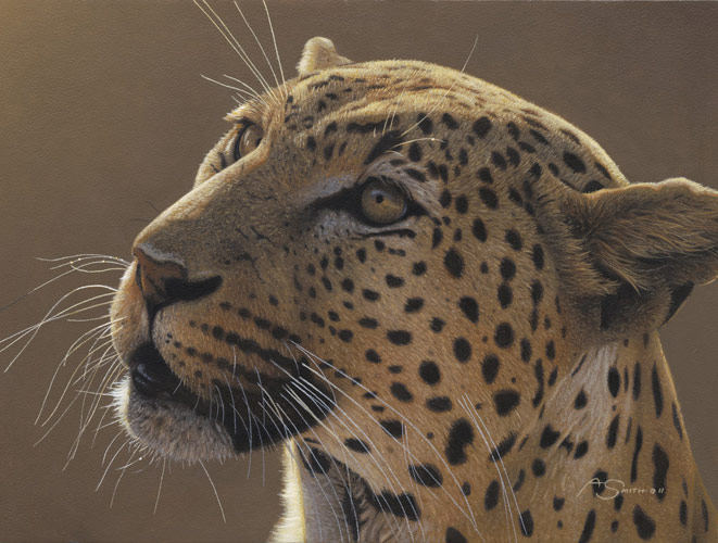 Contemplation - by Adam Smith
