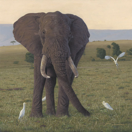 Tembo (elephant) by Adam Smith
