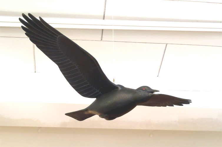 Flying Crow -  Carving by Manfred Scheel