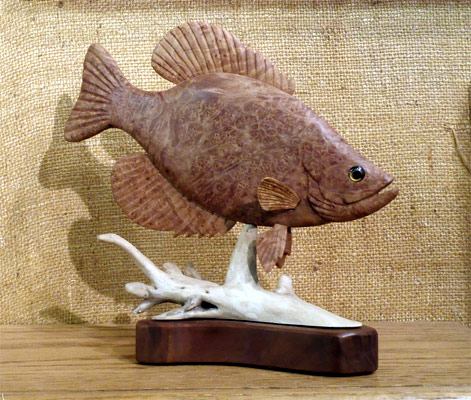 Crappie - Birds Eye Maple -  Carving by Manfred Scheel