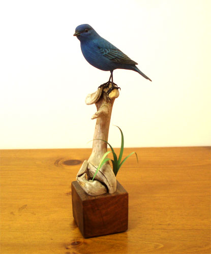 Indigo Bunting  carved by Manfred Scheel