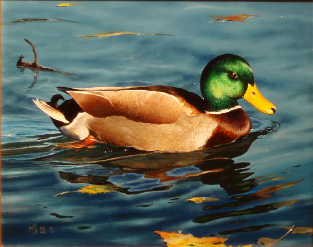 Autumn Waters by Mark Kelso