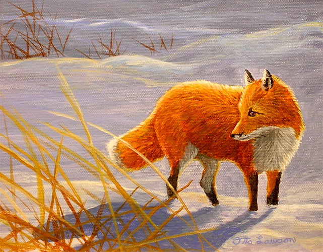 Full Moon Shadow - Red Fox by Otto Lawson