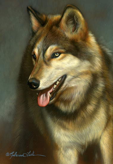 Contentment - by Rebecca Latham
