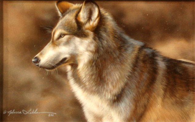 A Distant Look by Rebecca Latham