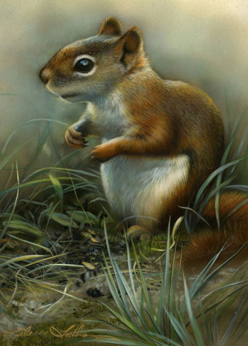 Red Squirrel by Rebecca Latham