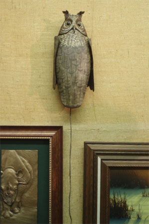 Flapping Owl by Russ Allen