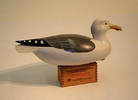 Oversized Seagull by George Strunk