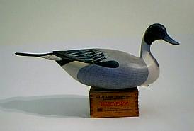Pintail Drake by George Strunk