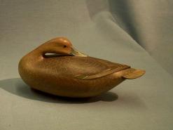 Pintail Hen by George Strunk