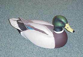 Mallard Drake by Dick Jessen