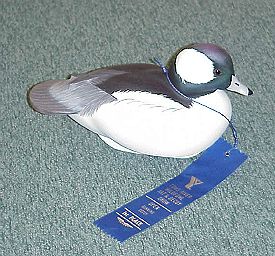 Bufflehead Drake by Dick Jessen