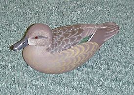 Greenwing Teal Hen by Dick Jessen