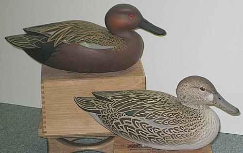 Cinnamon Teal Pair