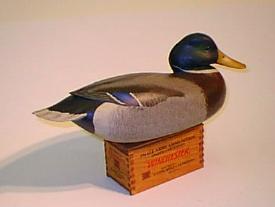Mallard Drake by Bob White