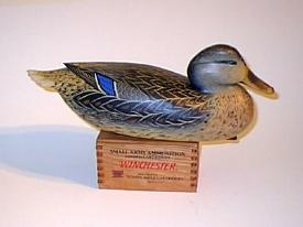 Mallard Hen by Bob White