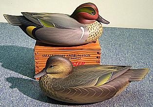 Green Wing Teal Pair