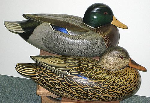 Mallard Pair