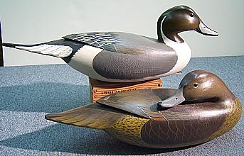 Pintail Pair