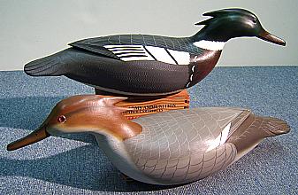 Red-Breasted Merganser
