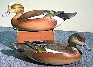 Wigeon Pair