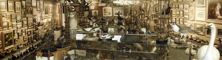 Decoys & Wildlife Gallery, Frenchtown, NJ