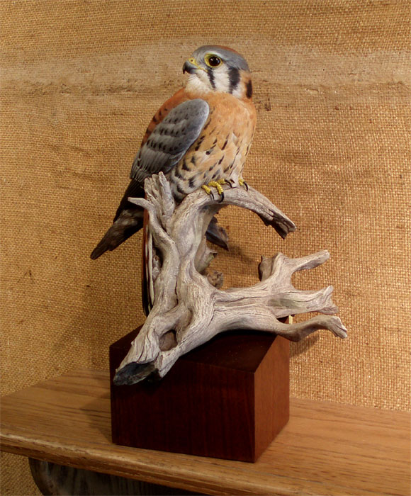 Bob Guge - Lifesize Kestrel Decorative  ...loading...