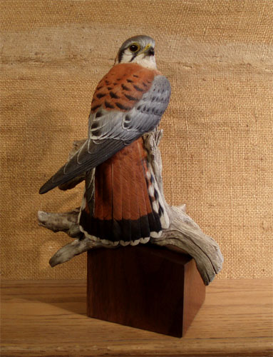 Bob Guge - Lifesize Kestrel Decorative  ...loading...