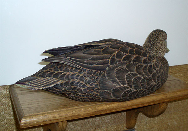 Life Size Decorative Black Duck - Ben Heineman - tail detail ...loading...